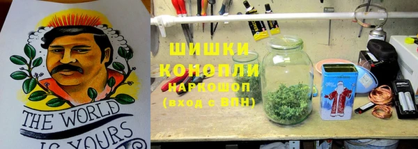 ГАЛЛЮЦИНОГЕННЫЕ ГРИБЫ Мегион