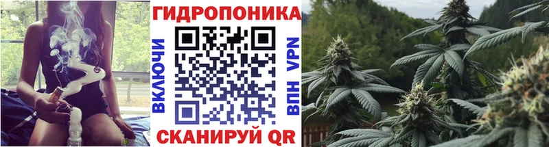 купить наркоту Урень Конопля OG Kush